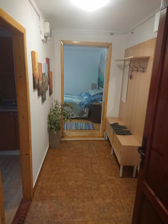 Katy'S Studio Apartment Brasov Bagian luar foto